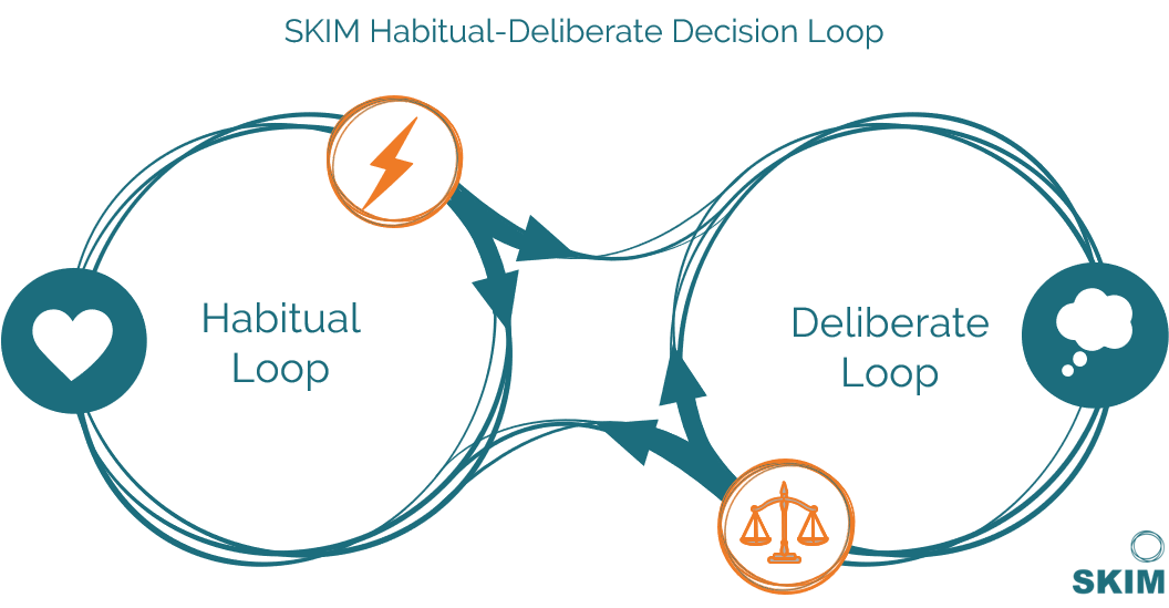Introducing the HabitualDeliberate Loop of consumer decision behavior